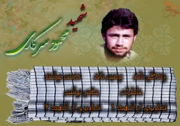 ویژه‌نامه بسیجی شهید محمود سرکاری
