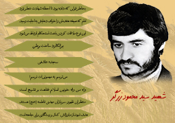 ویژه‌نامه شهید سید محمود زرگر