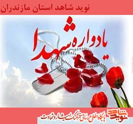 بيست و دومين يادواره 148 شهيد منطقه دودانگه