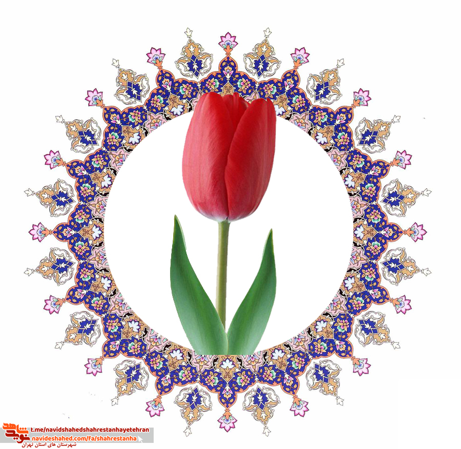 وصیت نامه شهید نادر قشقایی وصیت نامه شهید نادر قشقایی