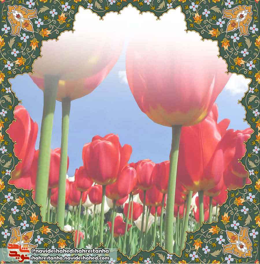 آرزو دارم؛ در حال نبرد به معبودم برسم آرزو دارم؛ در حال نبرد به معبودم برسم