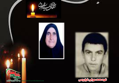در آرزوی دیدار فرزند پر کشید