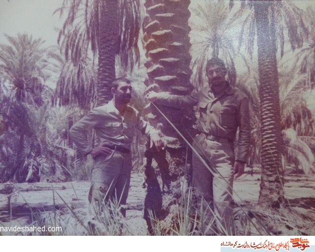 عاشق شهادت!