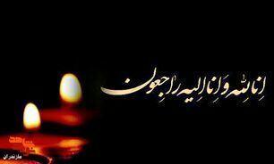 پدر شهید تقوی به فرزند شهیدش پیوست