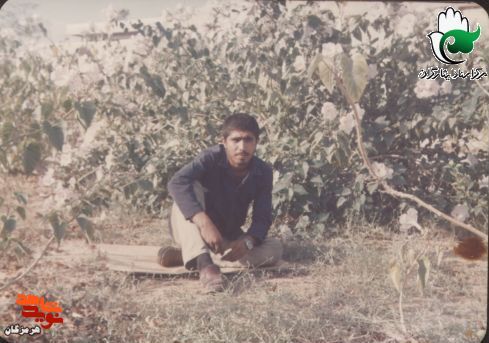آلبوم تصاویر شهید «محمد قاسمی قلعه قاضی»