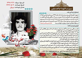 دنیا از منظر سرباز شهید «خلیل واحدی»