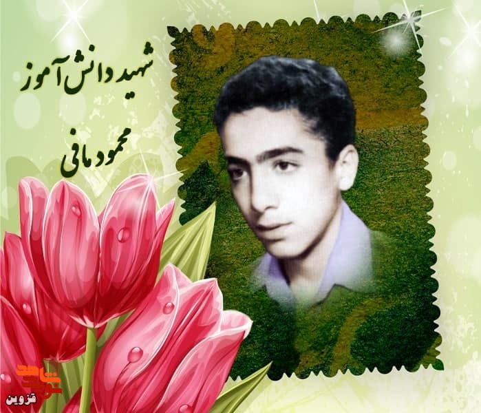 شهید محمود مافی نقاشی می‌کرد و خط زیبایی داشت
