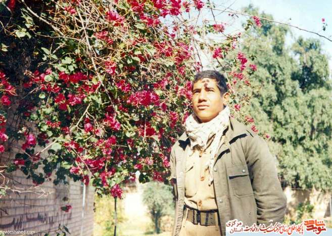 رضا میرزایی
