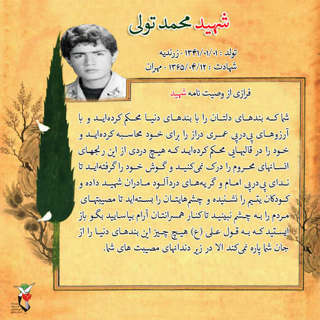 شهید محمد تولی