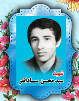 شهید محسن سادات فر